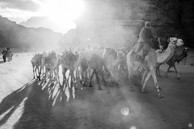 02 Days Petra , Wadi Rum and Dead Sea from Amman - What the private vehicle adds