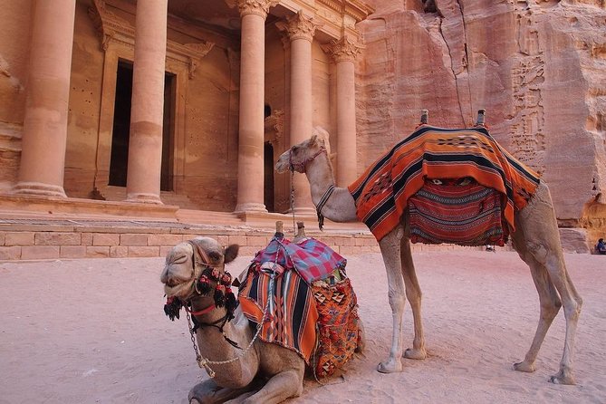 2 Day 1 Night Wadi Rum (Overnight) & Petra Shore Excursion - Key details to know before booking