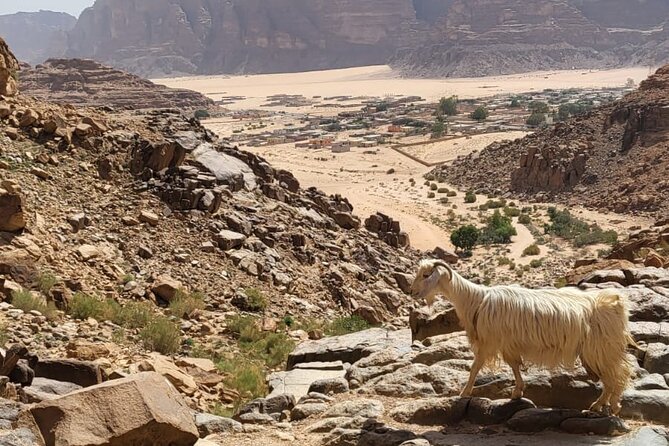 2 Day Wadi Rum Tour: Traditional Dinner and Starlit Cave Camp - Why two days works better than a quick desert visit
