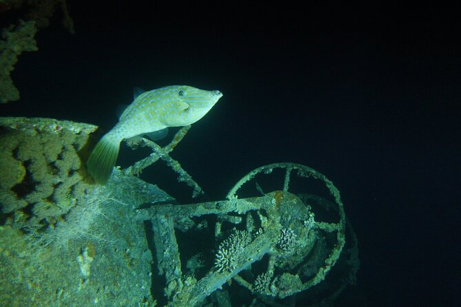 2 Hour Private Night Diving in the Red Sea of Aqaba - Key points to know before booking