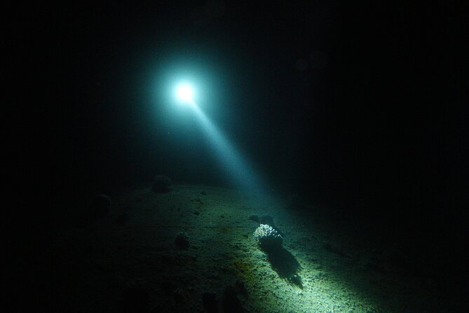 2 Hour Private Night Diving in the Red Sea of Aqaba - About 45 minutes beneath the surface