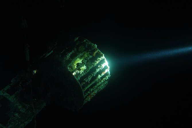 2 Hour Private Night Diving in the Red Sea of Aqaba - What the private format changes