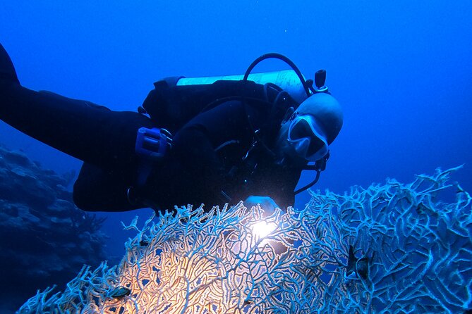 2 Hour Private Night Diving in the Red Sea of Aqaba - Weather, cancellation, and practical limits