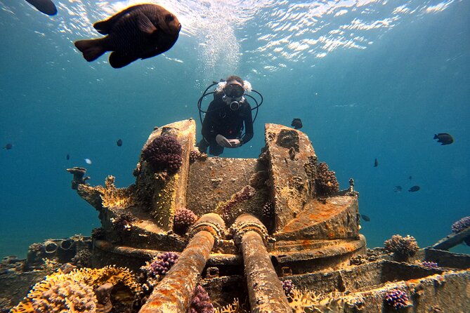 2-Hour Private Scuba Experience in Aqaba - Why the Private Format Helps