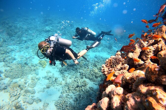 2-Hour Private Scuba Experience in Aqaba - Is $45 a Fair Price?