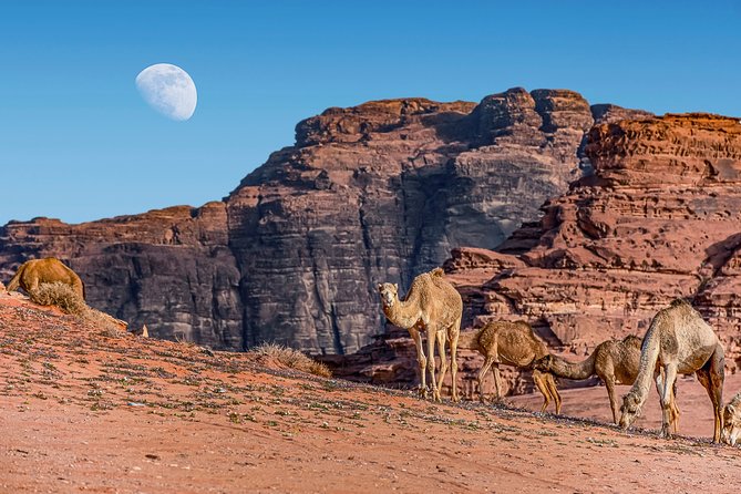 2-Night Private Jordan Secret Escape Tour: Petra, Wadi Rum, and Dead Sea - Wadi Rum by local 4x4 Jeep