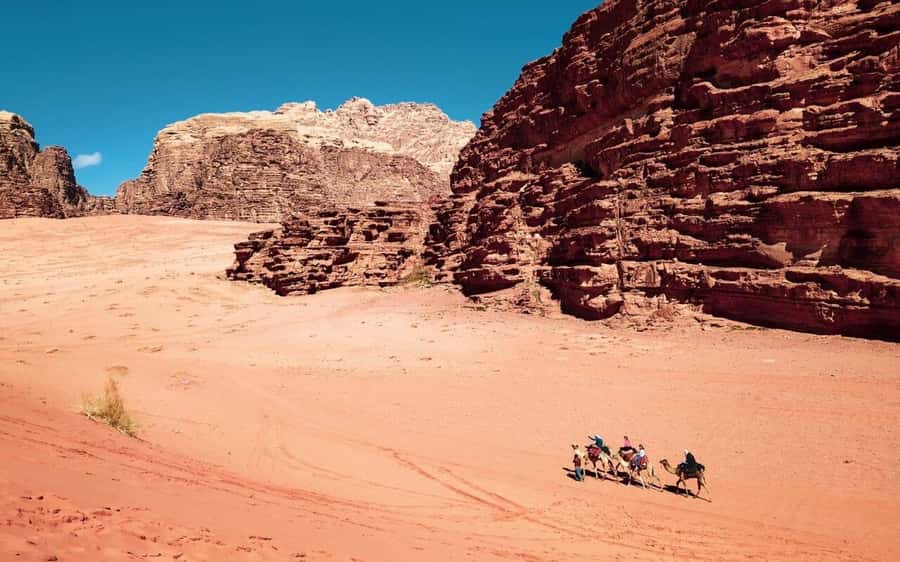 2 Nights in Petra: A 4 Day tour of Desert, Dead & Red Seas - Day two: a full day inside Petra