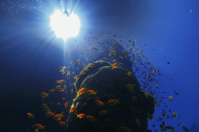 3-Day Open Water Scuba Diving Course in Aqaba - The instructors are a central part of the experience