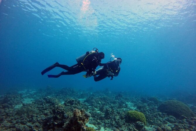 3-Day Open Water Scuba Diving Course in Aqaba - Group size, schedule, and physical demands