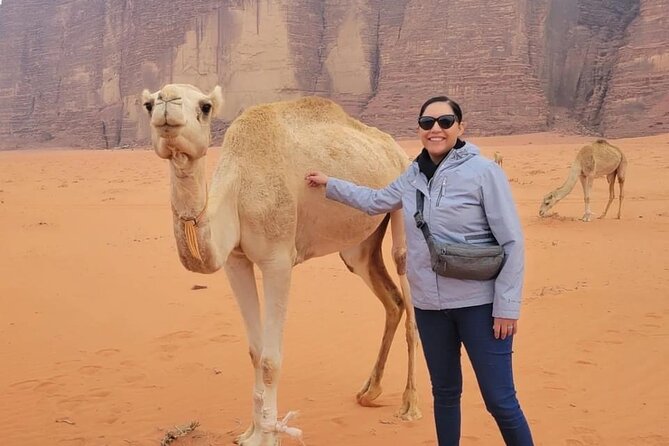 3-Day Tour from Amman: Jerash, Ajloun, Petra, Wadi Rum & Dead SEA - The long morning drive to Petra