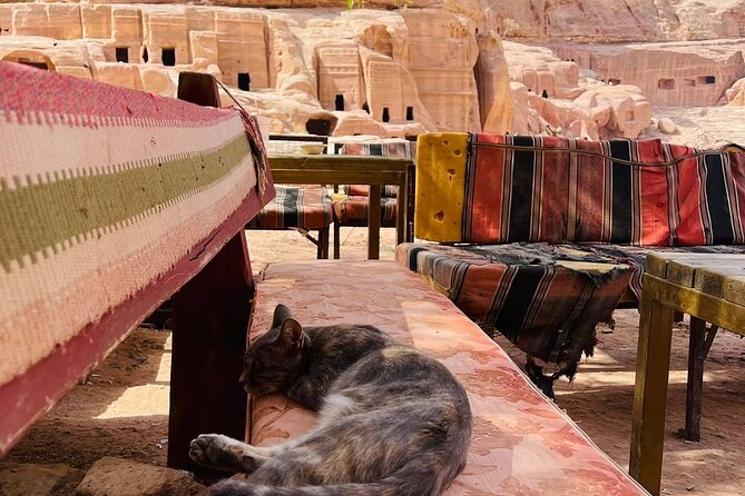 3 Epic Nights in South Jordan exploring with the locals. - Day Three: Wadi Rum by Jeep and Bedouin Camp