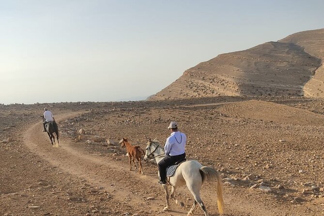 3 Hour Horse Riding Adventure around the Petra Area - Siq Al Barid and the mountain snack