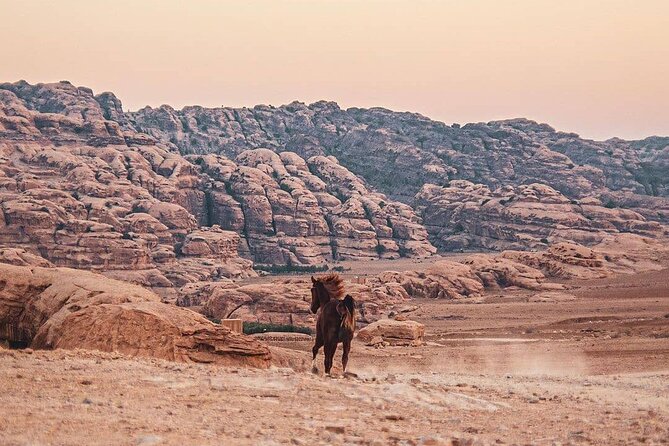 3 Hour Horse Riding Adventure around the Petra Area - What the $145 price includes