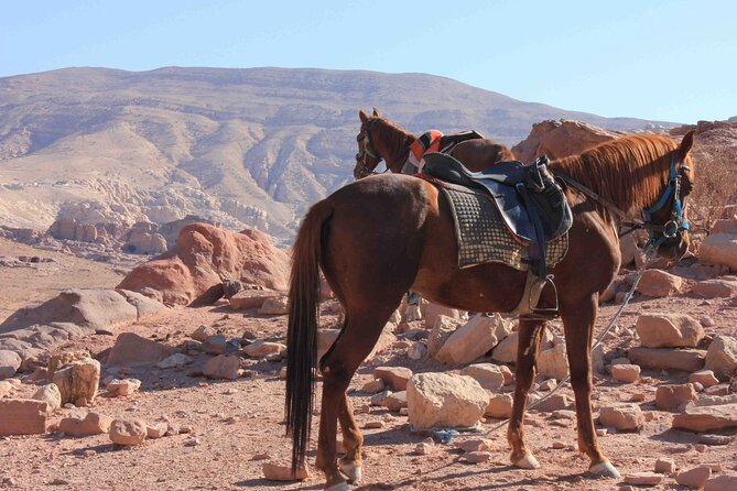 3 Hour Horse Riding Adventure around the Petra Area - Riding through Kharoubat Al Fajjah