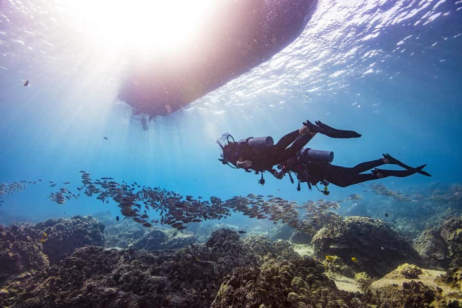 3 Hour Snorkeling & Diving Trip With Private Beach Access - The boat ride and Red Sea viewing