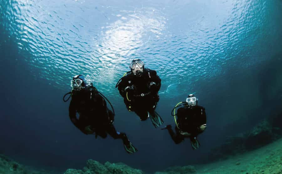 3 Hour Snorkeling & Diving Trip With Private Beach Access - Why the $50 price can work well