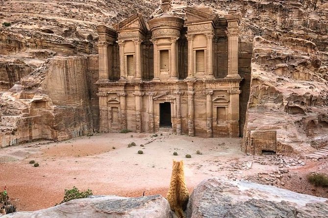 3Days Tour Petra & Wadi Rum from Amman, Dead Sea OR Amman Airport - How the $350 price measures up
