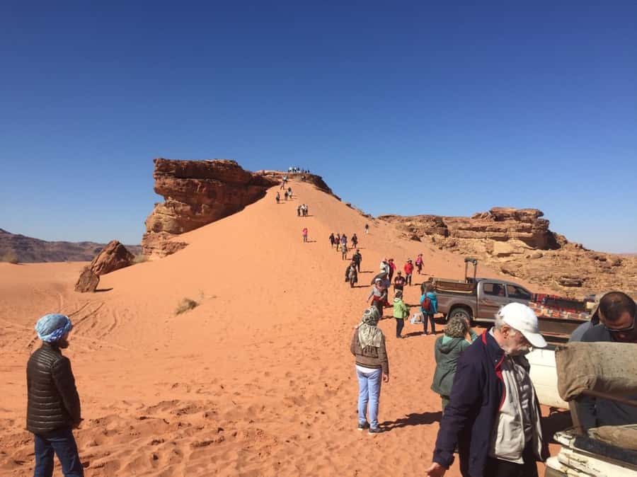 4Hour Jeep Tour (Morning or Sunset) Wadi Rum Desert Highligh - Guides can make or break the outing