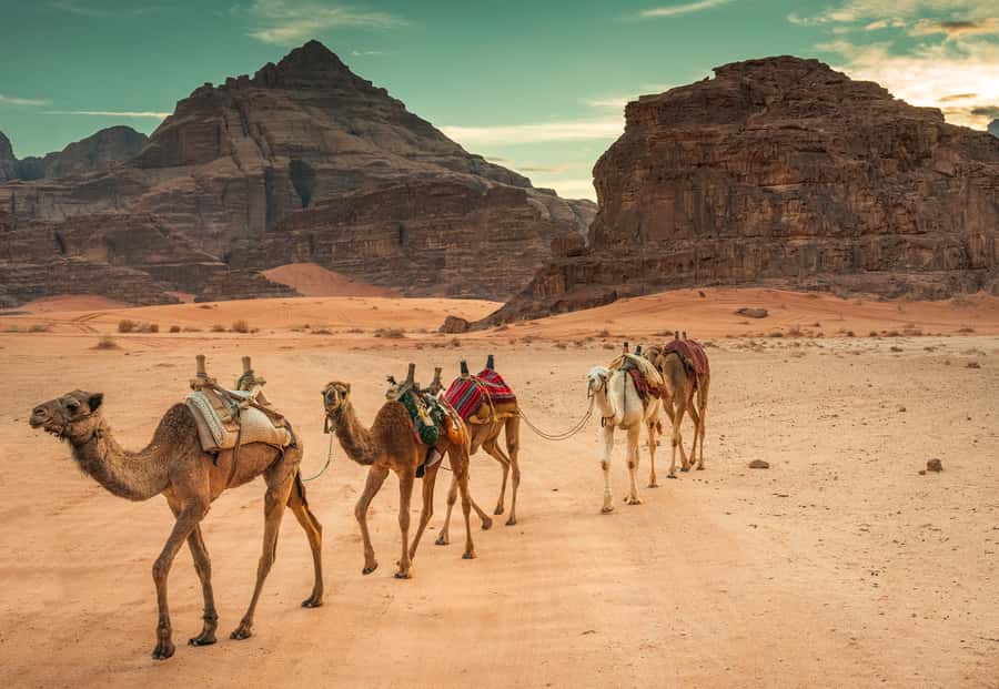 5-Day Private Tour from Amman: Petra, Wadi Rum & Dead Sea - Madaba, Mount Nebo, and Little Petra on day two
