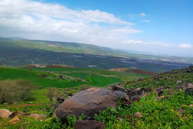 5 Days best of Jordan (Private customized tour) - What the $769 price really covers
