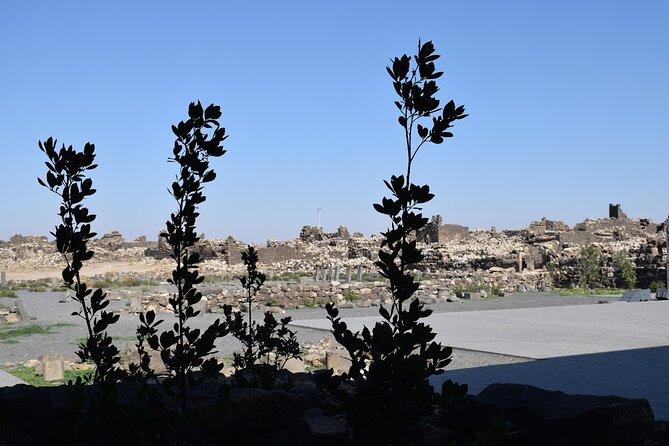 5-Desert Castles of Jordan Full-Day Private Tour from Amman - What the private vehicle adds to the day