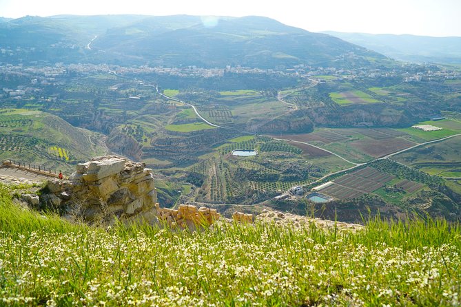 5-Night Private Magic Jordan Tour: Dead Sea, Mount Nebo, Amman, and Jerash - Airport arrival and two nights in Amman