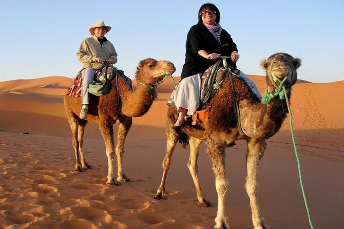 7-Day Private Tour, Explore Jordan's Glamour - Wadi Rum by 4x4 and the return to Amman