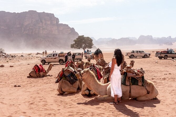 7-Day Super Luxury Tour By Toyota Land Cruiser - Wadi Rum by jeep, sunset, and Bedouin dinner