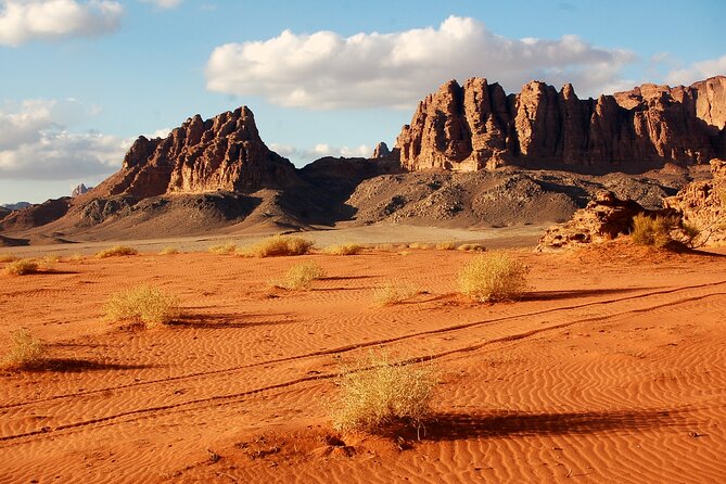 8-Day Classic Private Guided Tour Of Jordan - Day 1: A soft landing at Queen Alia Airport