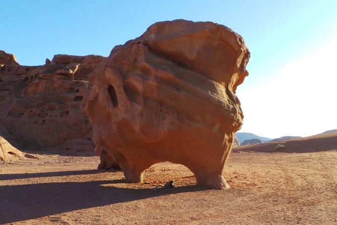 8-Day Private Tour, Jordan's Ability - Customizable - Wadi Rum by 4x4 Jeep