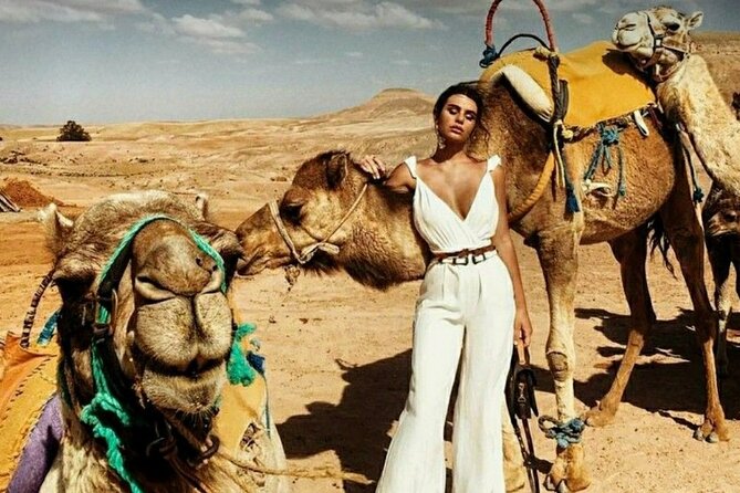 8-Day Private Tour, Jordan's flavor - A full day at the Dead Sea