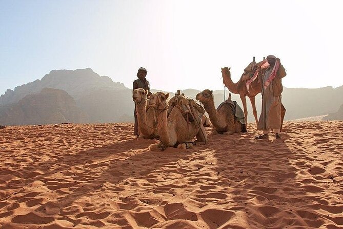 8 Days Jordan Tour: Petra, Wadi Rum, Aqaba - A Camel Ride Before Aqaba