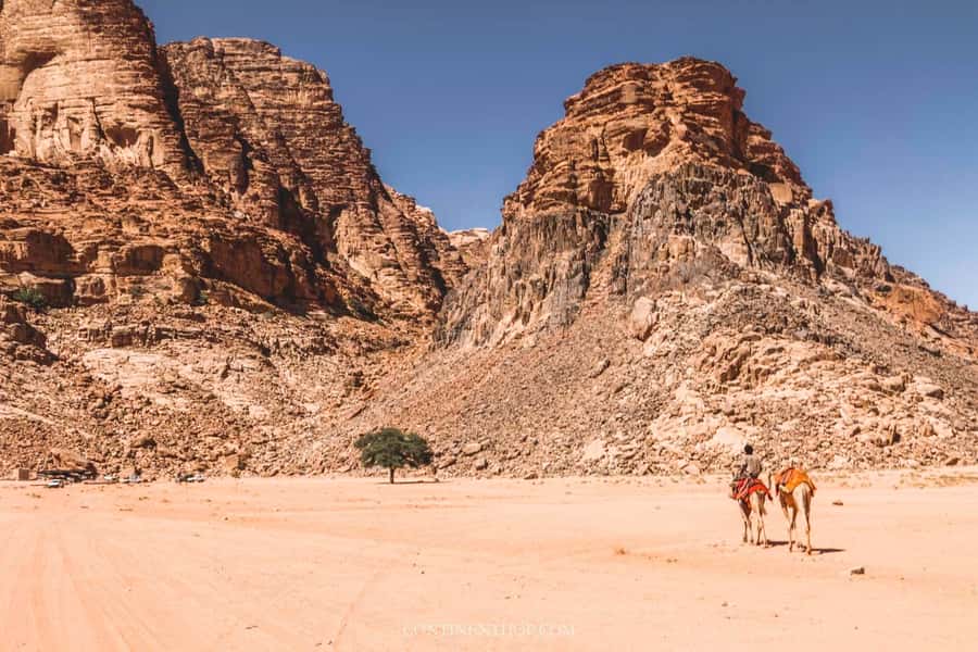 Amman: Amman, Jerash, Petra, Wadi Rum, Dead Sea 3-days Tour. - My booking advice