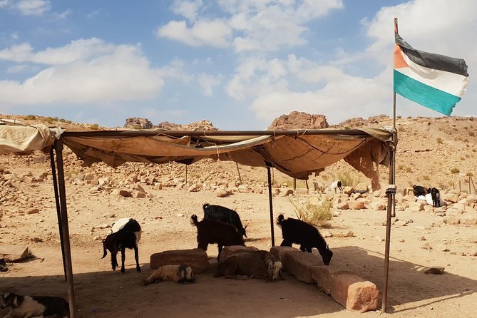 Amman and Aqaba airport lift to Petra and Wadi Rum - What the drive feels like