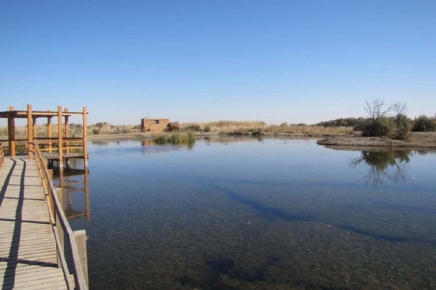 Amman - Desert Castles & Azraq Wetland Reserve Full Day Trip - Who will get the most from this experience