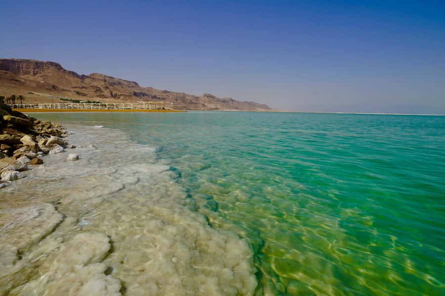 Amman: Ma'in Hot Springs and Dead Sea Day Trip - Key things to know before you book