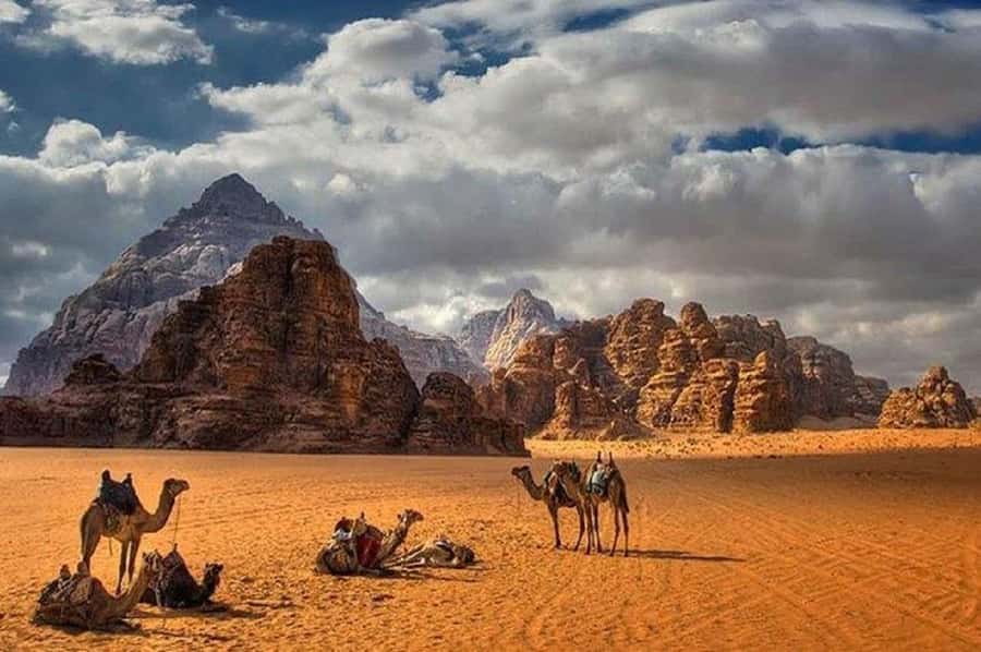 Amman - Petra - Wadi Rum Full Day Trip - Key points to know before booking