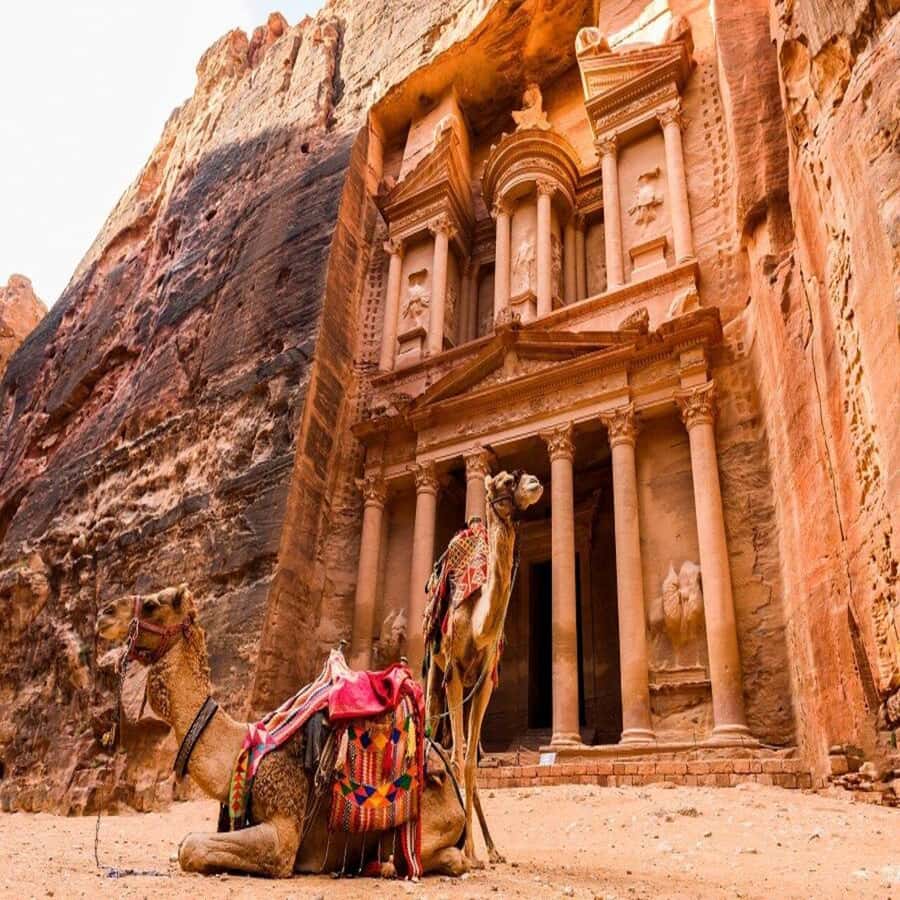 Amman Private Tour Petra Wadi Rum And Dead Sea 2day Bubble - Key points at a glance