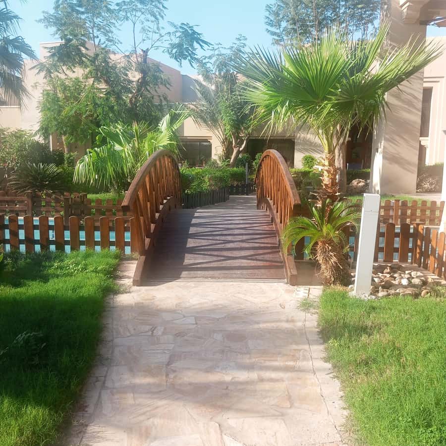 Amman: To Ma'daba -Mount Nebo-Baptism site-Dead sea Day Trip - The Real Cost Beyond the $97 Price