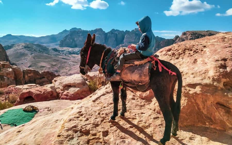 Amman to Petra Full-Day Trip - Five things to know before you book