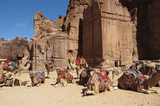 Amman to Petra round trip - Who Should Book This Petra Transfer
