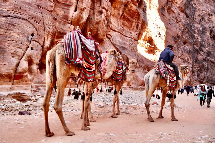 Amman to Petra Wadi Rum Dead Sea 2 or 3 Days Private Tour - Private Transport and the Human Side of the Trip