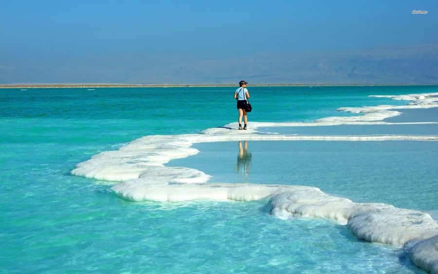 Amman to Petra Wadi Rum Dead Sea 2 or 3 Days Private Tour - Who Should Book This Jordan Tour?