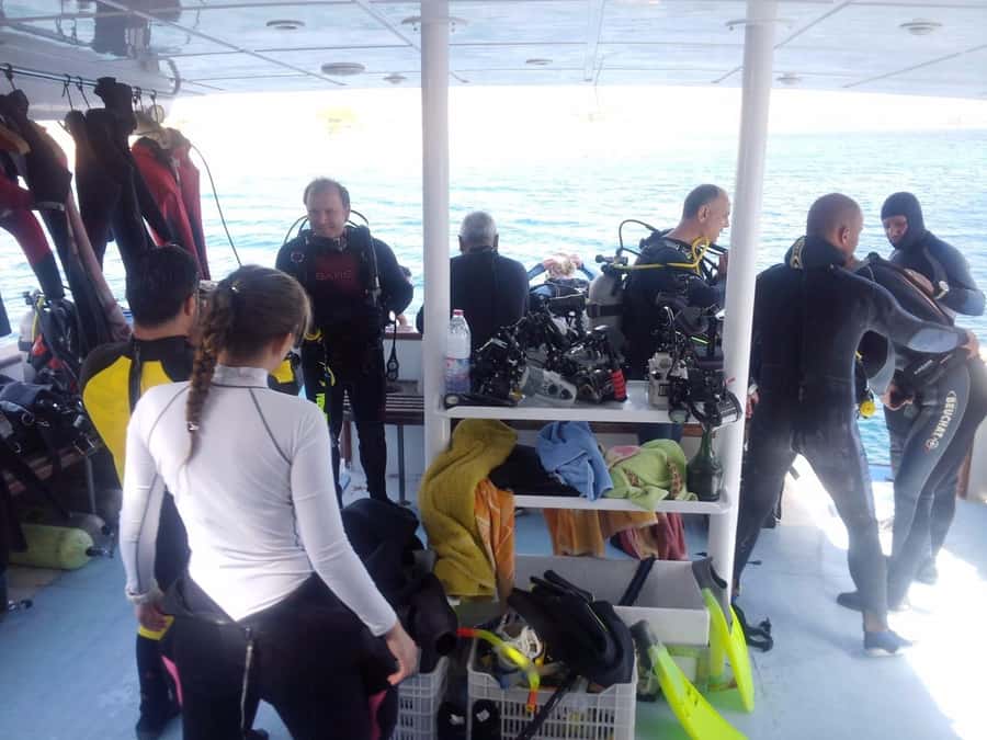 Aqaba: 2 Guided Dives Boat Trip with Gear and Buffet Lunch - From Aqaba Sharks Bay Divers to Ayla Marina