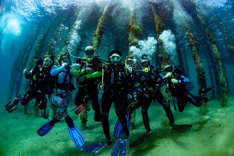 Aqaba: 2 Guided Dives Boat Trip with Gear and Buffet Lunch - The First Hour Beneath Aqaba’s Surface