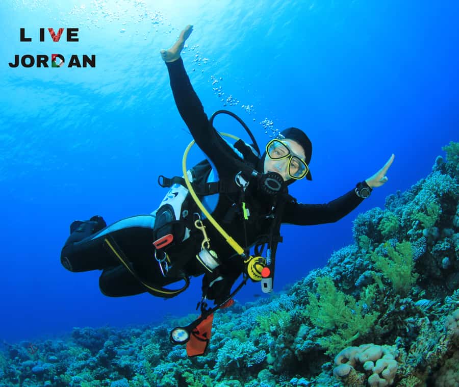 Aqaba : All Water Sports Adventure in the Red Sea - Starting Near Aqaba Flagpole