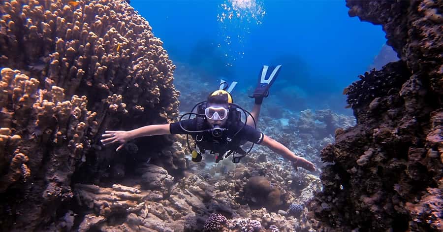 Aqaba Dive Adventure: Explore The Red Sea On A Tour - South Beach is the right place to begin