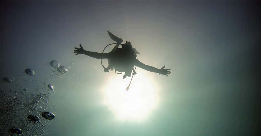 Aqaba Dive Adventure: Explore The Red Sea On A Tour - The 45-minute underwater session