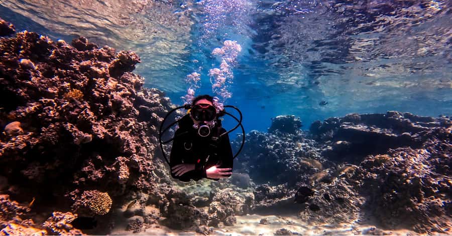 Aqaba Dive Adventure: Explore The Red Sea On A Tour - What the $51 price really covers