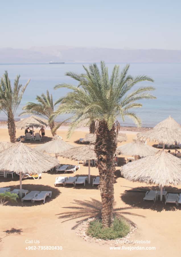 Aqaba: Private Beach, Pools, Snorkeling & Boat Trip,Transfer - Why this Aqaba outing works well as a half-day